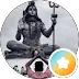 user-avatar-1